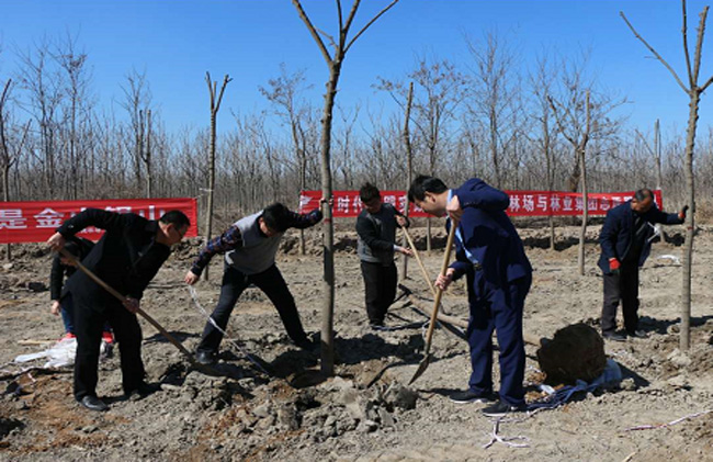 itb8888通博(中国)官方网站