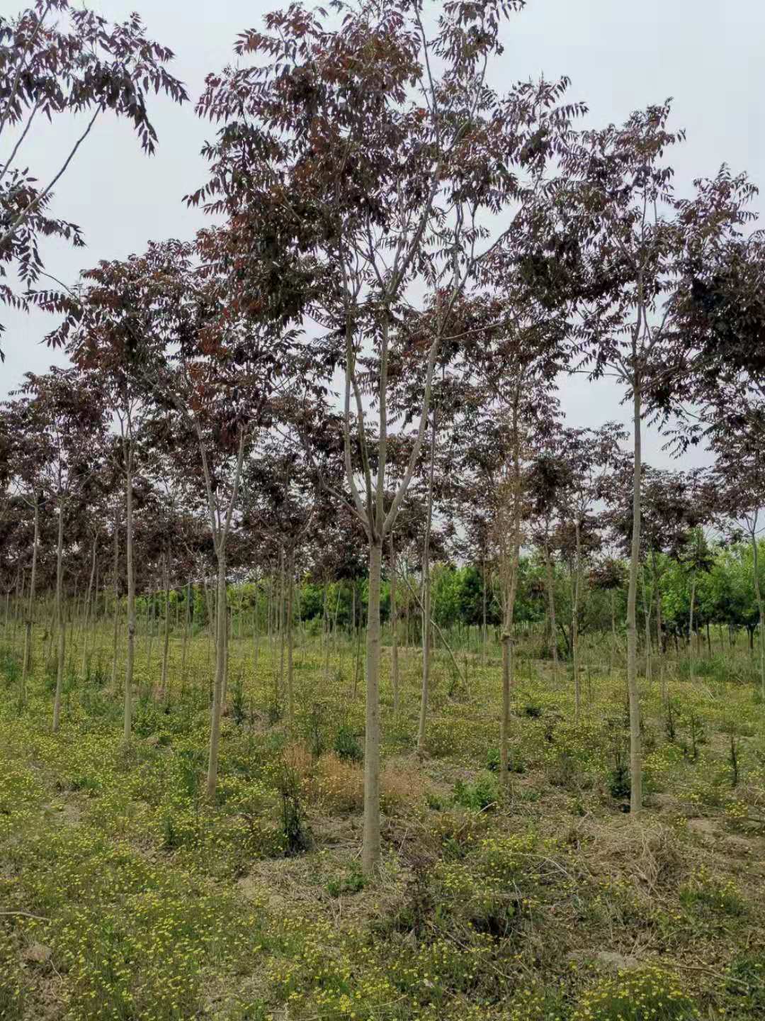 itb8888通博(中国)官方网站