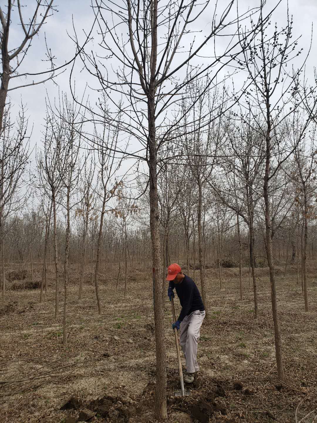 itb8888通博(中国)官方网站