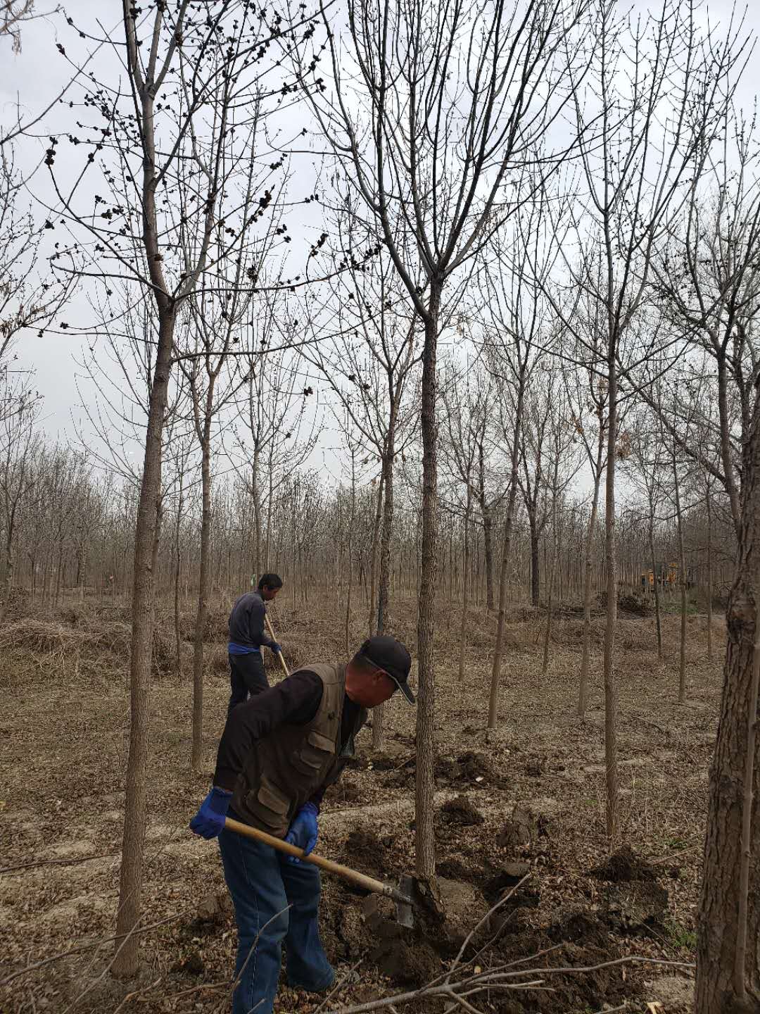 itb8888通博(中国)官方网站