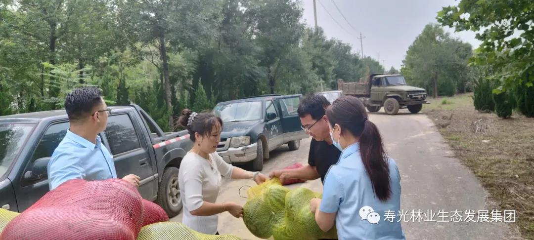 itb8888通博(中国)官方网站