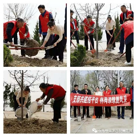 itb8888通博(中国)官方网站